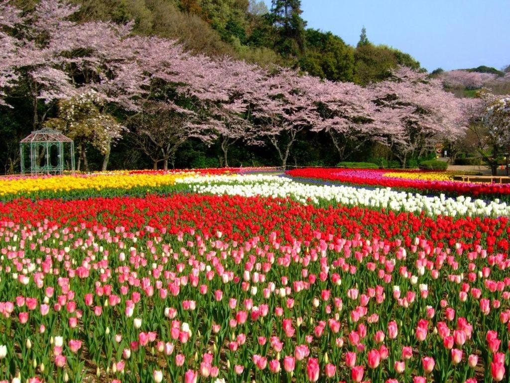 Izumigo Lake Hamanako Dog Paradise Hotel 滨松 外观 照片