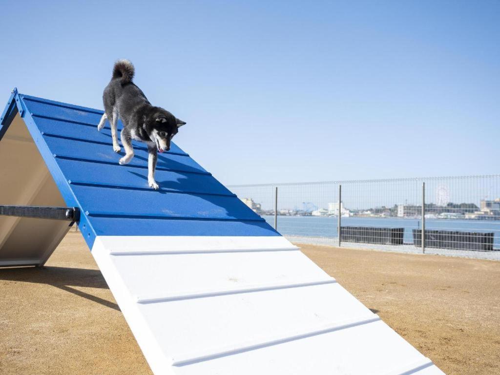 Izumigo Lake Hamanako Dog Paradise Hotel 滨松 外观 照片
