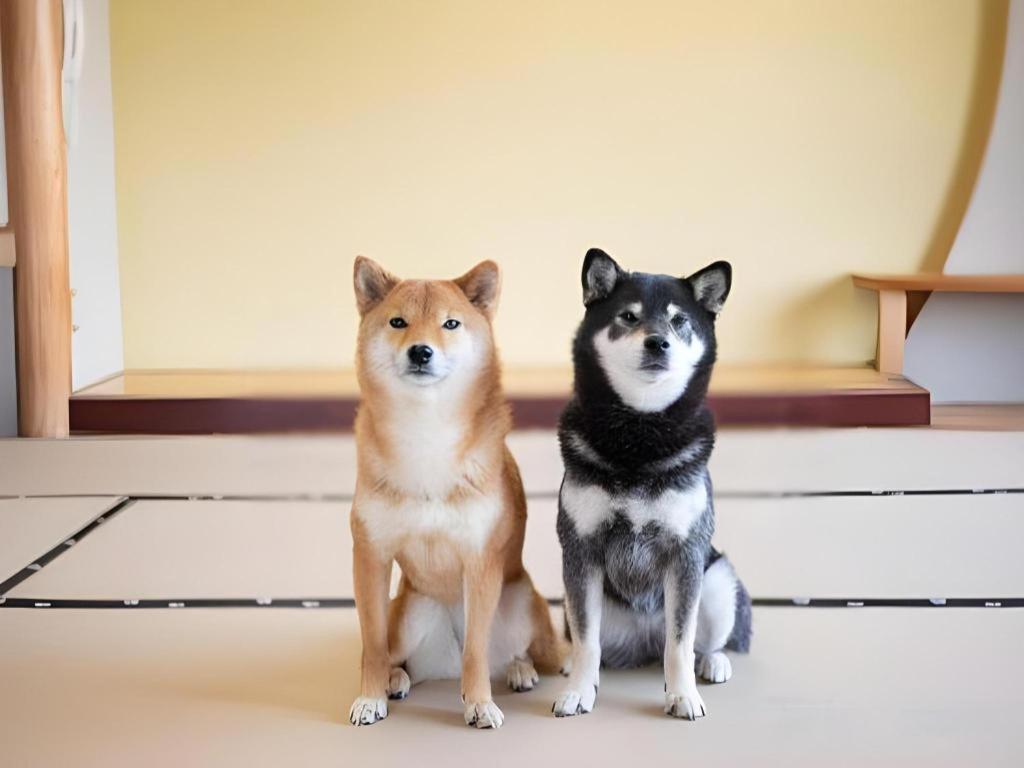 Izumigo Lake Hamanako Dog Paradise Hotel 滨松 外观 照片