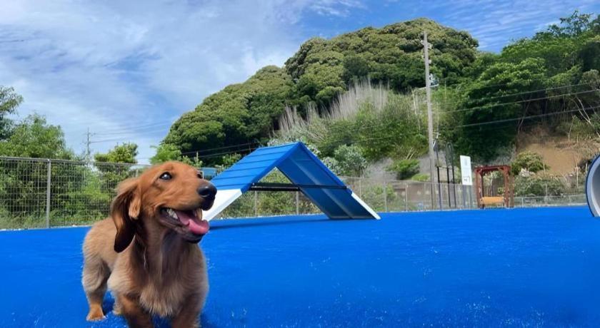 Izumigo Lake Hamanako Dog Paradise Hotel 滨松 外观 照片